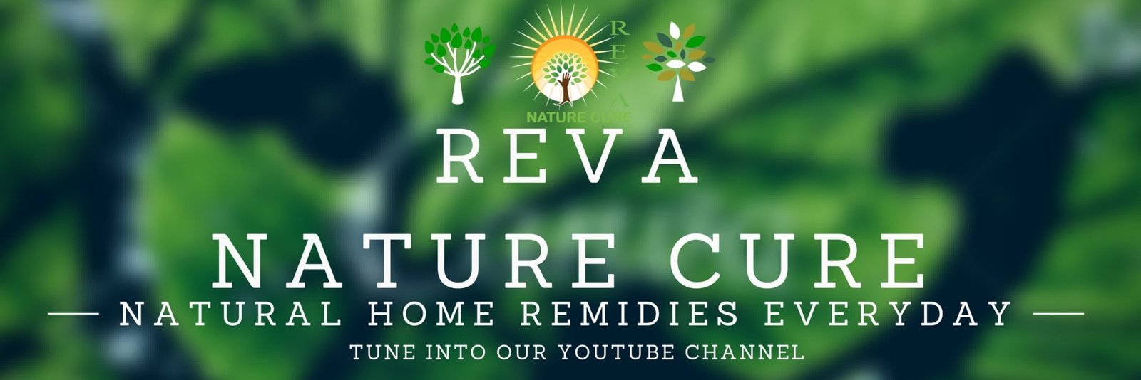 Reva Nature Cure Vadodara Gujarat Reva Nature Cure Vadodara Gujarat